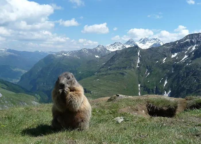 Franz Apartament Kaprun